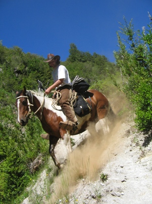 Reittouren Im Nationalpark, Patagonien, Chile