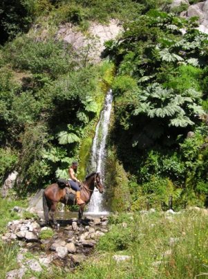 Reittouren Im Nationalpark, Patagonien, Chile