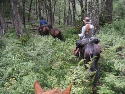 Reittouren Im Nationalpark, Patagonien, Chile