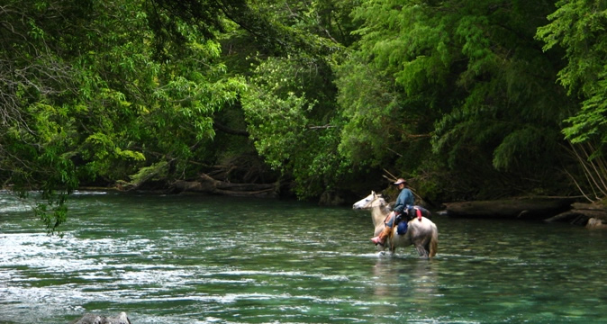 Reittouren Im Nationalpark, Patagonien, Chile