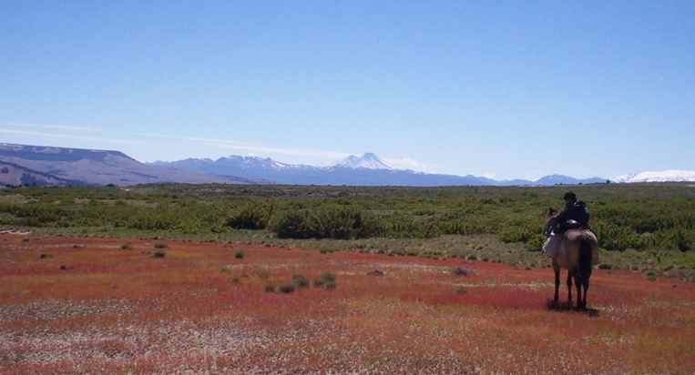 Open planes on our horseback adventure, crossing the andes Chile to Argentina on Horseback trail ride