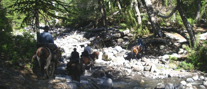 one of the many creeks to cross on our trailride from crossing the andes from Chile to Argentina