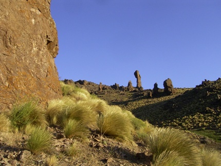 horseback in alumine valley, argentina,crossing the border from chile to argentina, patagonia