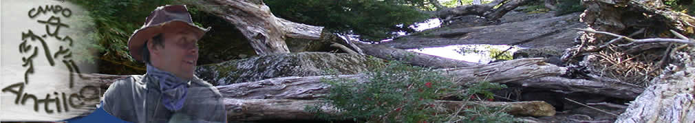 header  photos unsorted from horseback rides in chile and Argentina