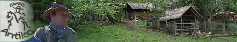 Unterk¨nfte und Ferienhäuser in Villarrica und Pucon, Chile
