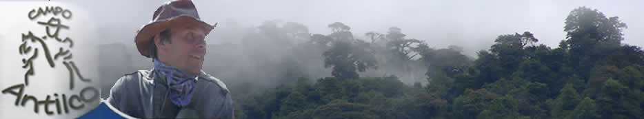 logo -Urwald in Chile -Reitabenteuer in den Anden