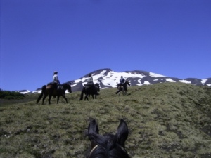 horseback trailriding in Chile, Volcan Quetrupillan