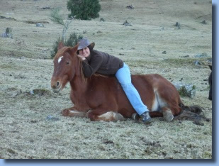 Ale auf Pferd liegend beim Reitkurs in Chile