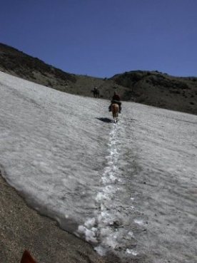 Durch ein Schneefeld - Reitabenteuer Anden&uuml;berquerung Chile - Argentinien