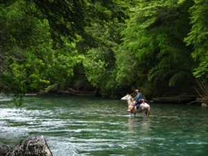 Ale im Fluss - Reitabenteuer Anden&uuml;berquerung Chile - Argentinien