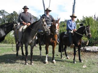 3 Reiter zu Pferd , Guides beim Trailreiten in Chile, Südamerika