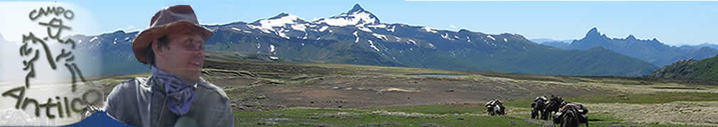 Logo  Reiten in Pucon