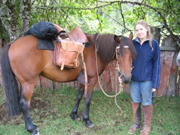 Katy and Choco and all the luggage for 6 days in the bags -  agreat horsetrail in the chilean andes. Katy und Choco, vollgepackt für den Ritt durch die chilenischen Anden.
